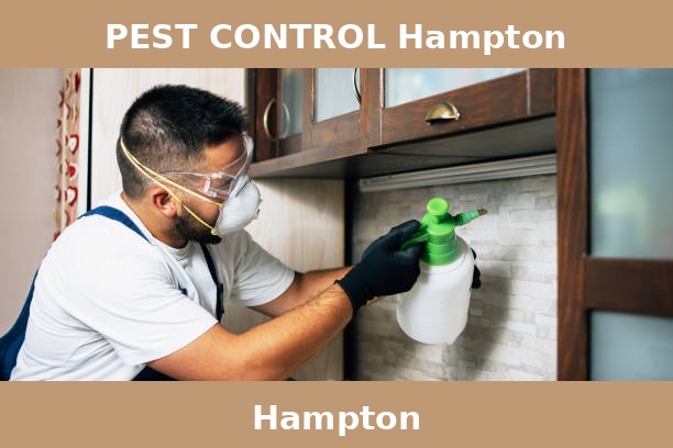 PEST CONTROL Hampton